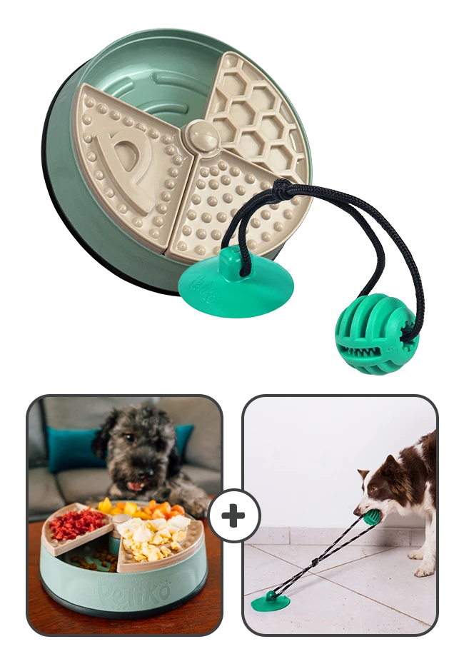 Comedouro Layers + Push Ball (Kit Antiestresse)